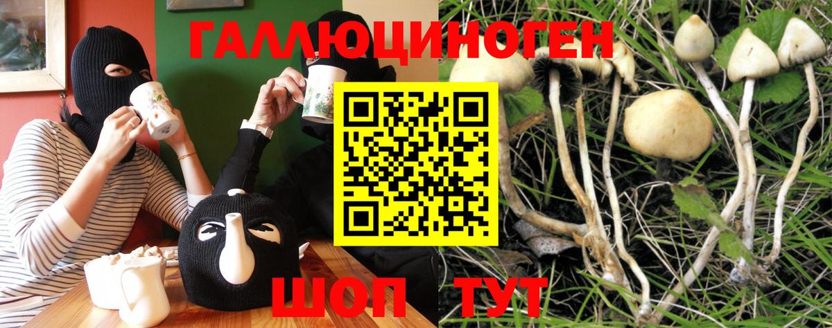 Галлюциногенные грибы мицелий Сыктывкар
