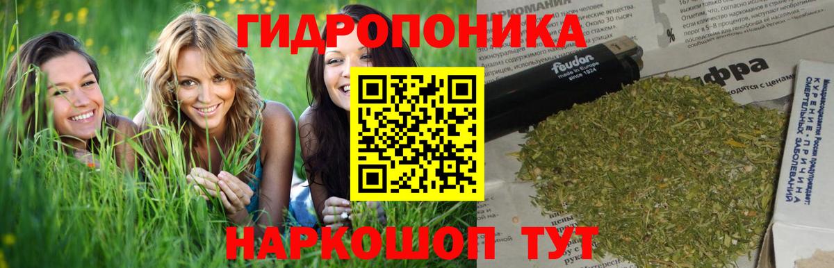 Сыктывкар  Шишки марихуана THC 21%  Вход с VPN  Марихуана конопля  Бошки Шишки VHQ 